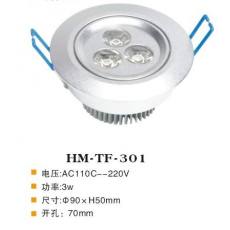 HM-TF-301 天花燈