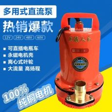 電瓶直流潛水泵24V12v微型潛水泵船用48V潛水泵電瓶泵