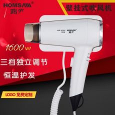 酒店賓館壁掛式電吹風(fēng)機豪華冷熱風(fēng)家用干發(fā)器