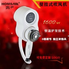 酒店賓館壁掛式電吹風(fēng)機家用冷熱風(fēng)恒溫干發(fā)器